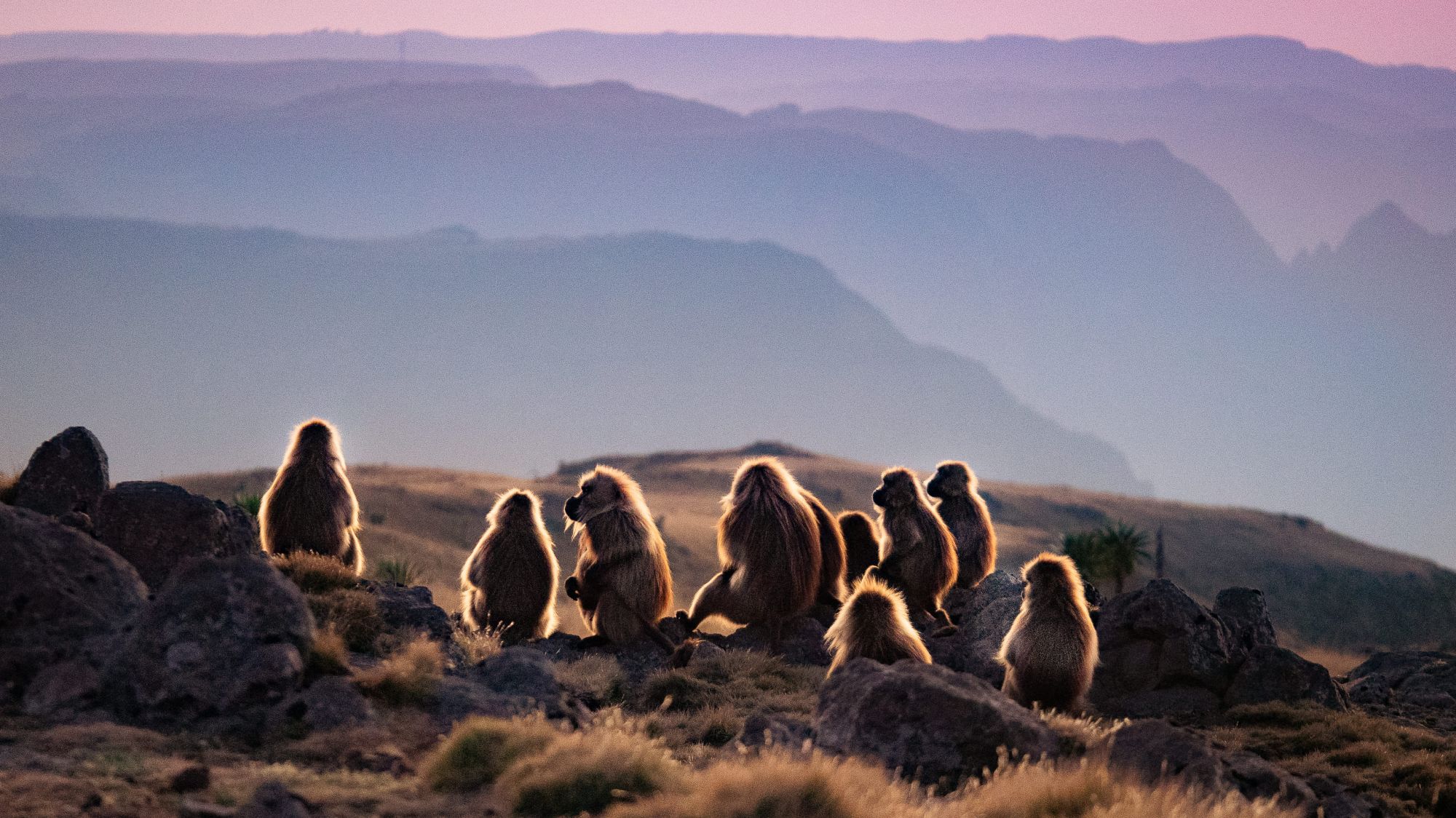Afrika Reisen Bild 2