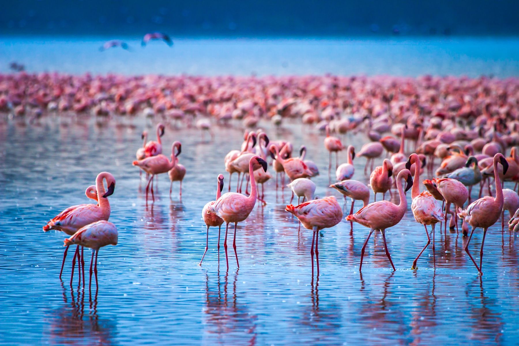 Afrika Reisen Bild 6