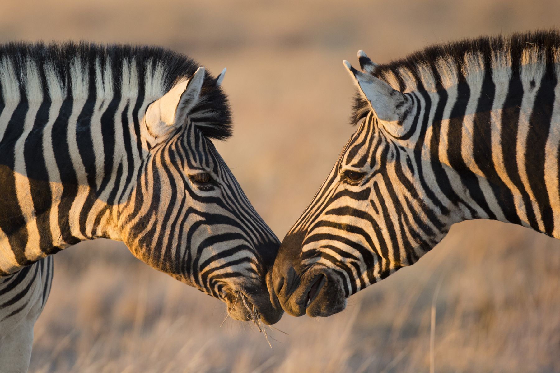 Afrika Reisen Bild 15