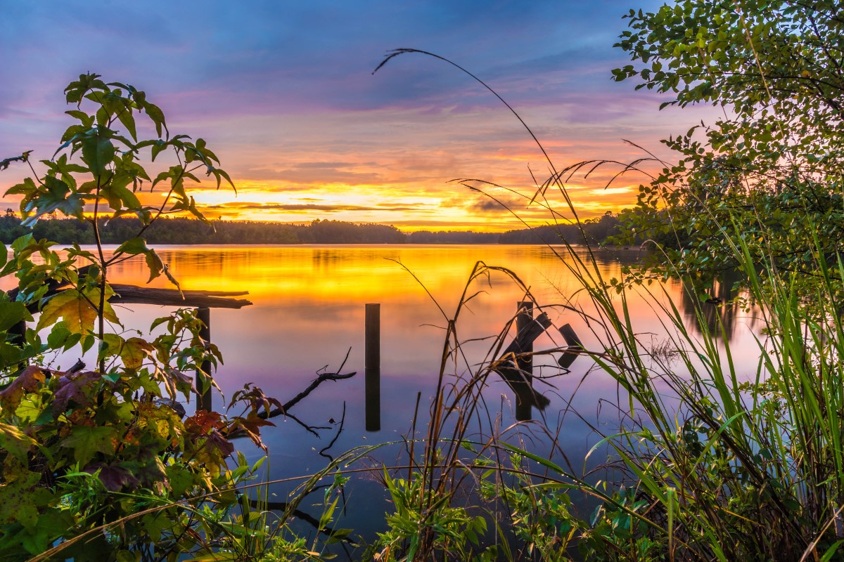 Elvis Presley Lake