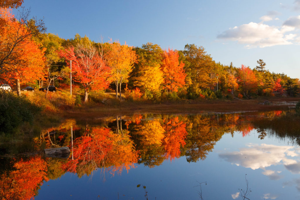 Erleben Sie den Indian Summer in den USA und in Kanada